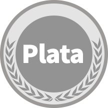 plan plata icono